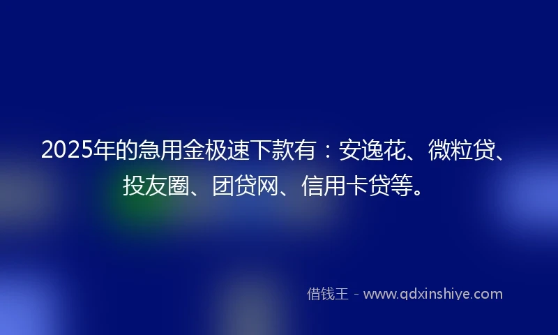 2025年的急用金极速下款有：安逸花、微粒贷、投友圈、团贷网、信用卡贷等。