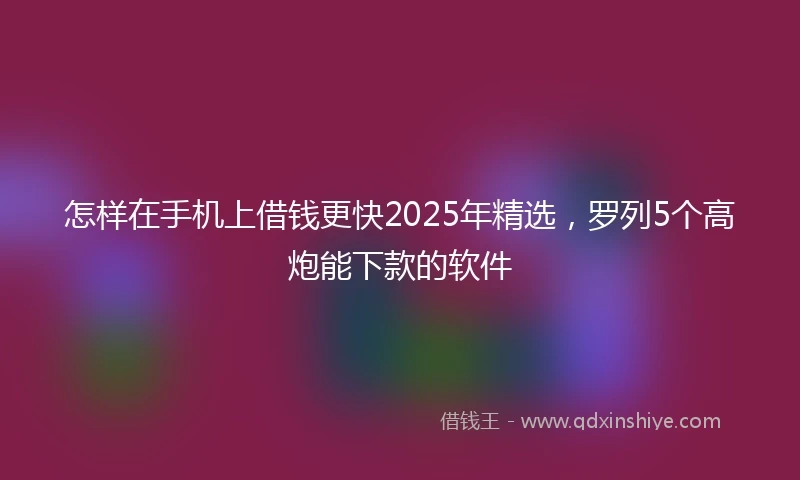 怎样在手机上借钱更快2025年精选，罗列5个高炮能下款的软件