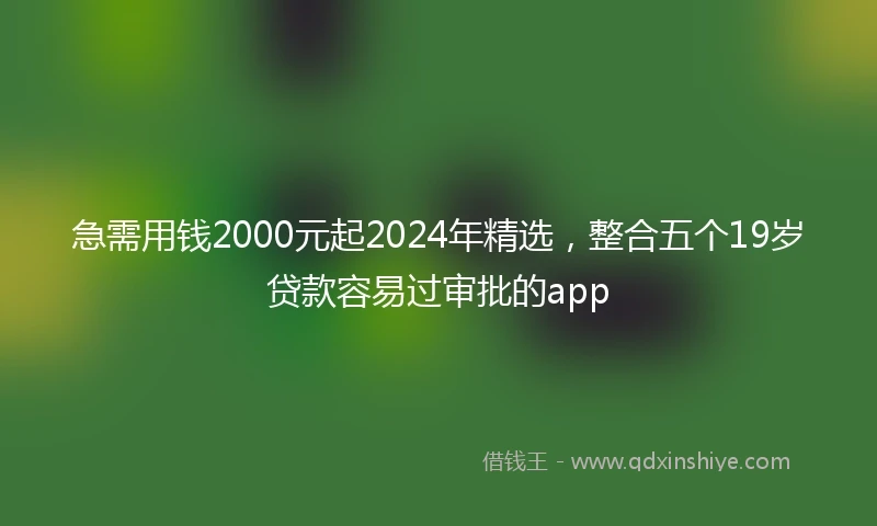 急需用钱2000元起2024年精选，整合五个19岁贷款容易过审批的app