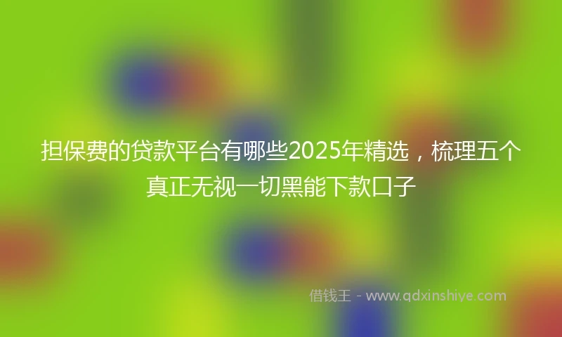 担保费的贷款平台有哪些2025年精选，梳理五个真正无视一切黑能下款口子