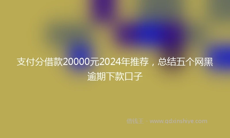 支付分借款20000元2024年推荐，总结五个网黑逾期下款口子