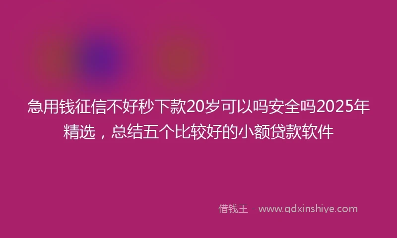急用钱征信不好秒下款20岁可以吗安全吗2025年精选，总结五个比较好的小额贷款软件
