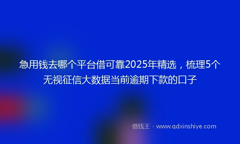 急用钱去哪个平台借可靠2025年精选，梳理5个无视征信大数据当前逾期下款的口子