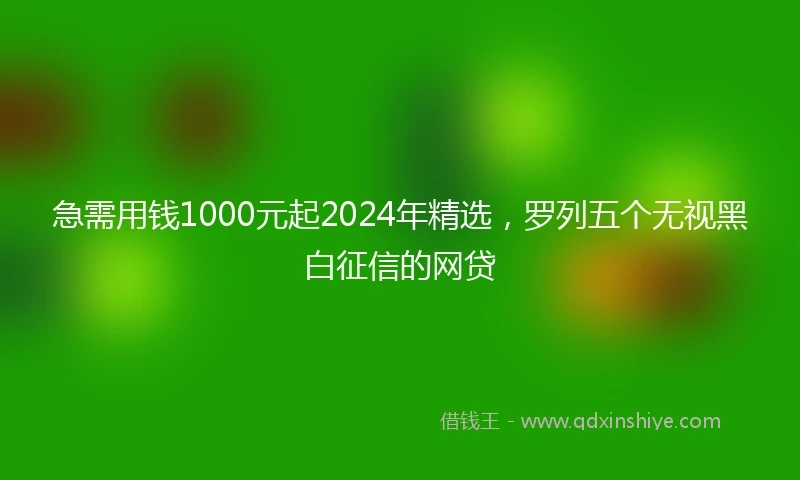 急需用钱1000元起2024年精选，罗列五个无视黑白征信的网贷