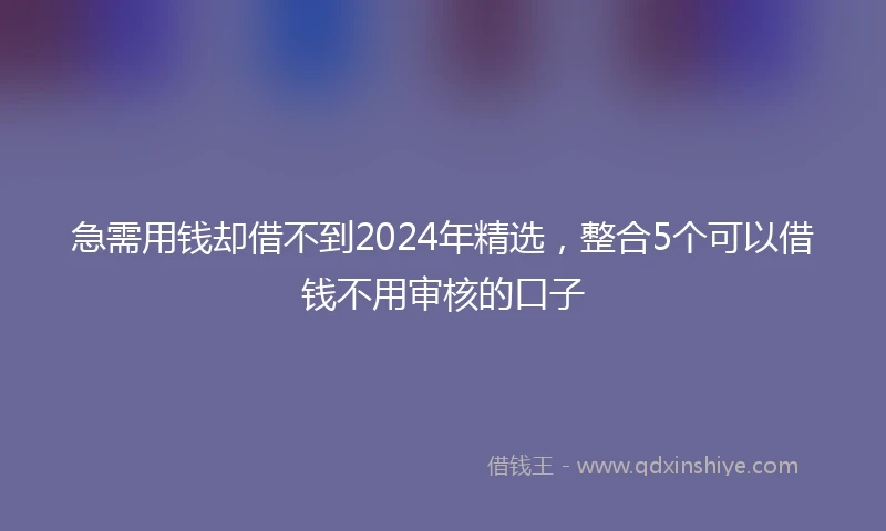 急需用钱却借不到2024年精选，整合5个可以借钱不用审核的口子