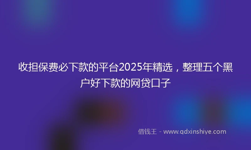 收担保费必下款的平台2025年精选，整理五个黑户好下款的网贷口子