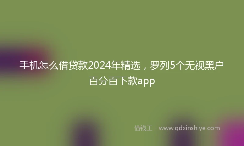 手机怎么借贷款2024年精选，罗列5个无视黑户百分百下款app