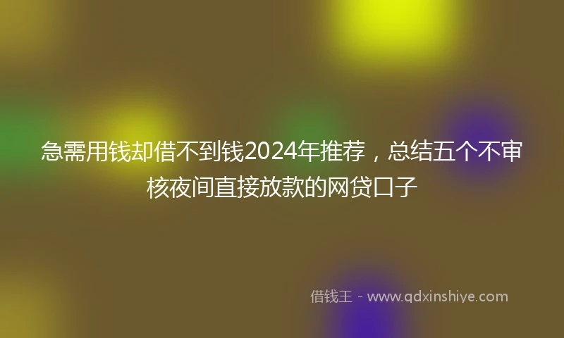 急需用钱却借不到钱2024年推荐，总结五个不审核夜间直接放款的网贷口子
