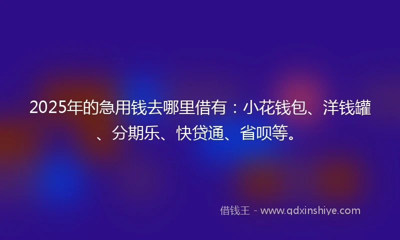 2025年的急用钱去哪里借有：小花钱包、洋钱罐、分期乐、快贷通、省呗等。