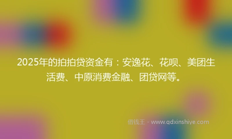 2025年的拍拍贷资金有：安逸花、花呗、美团生活费、中原消费金融、团贷网等。