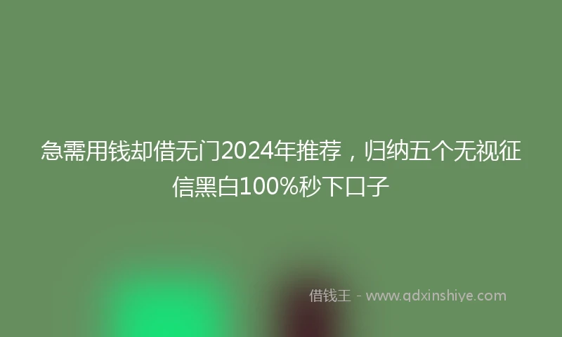 急需用钱却借无门2024年推荐，归纳五个无视征信黑白100%秒下口子