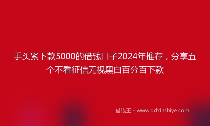 手头紧下款5000的借钱口子2024年推荐，分享五个不看征信无视黑白百分百下款