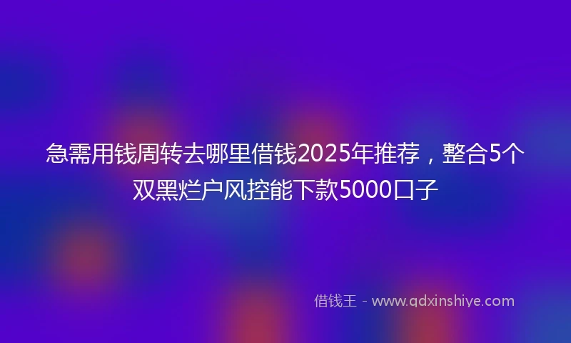 急需用钱周转去哪里借钱2025年推荐，整合5个双黑烂户风控能下款5000口子
