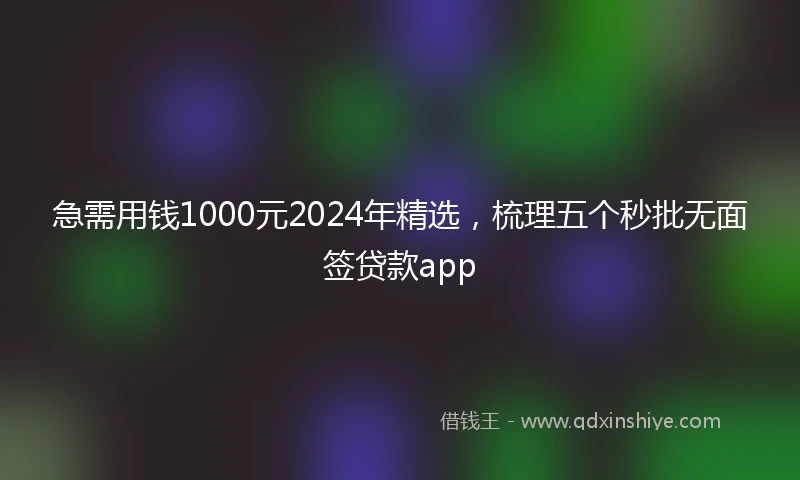 急需用钱1000元2024年精选，梳理五个秒批无面签贷款app