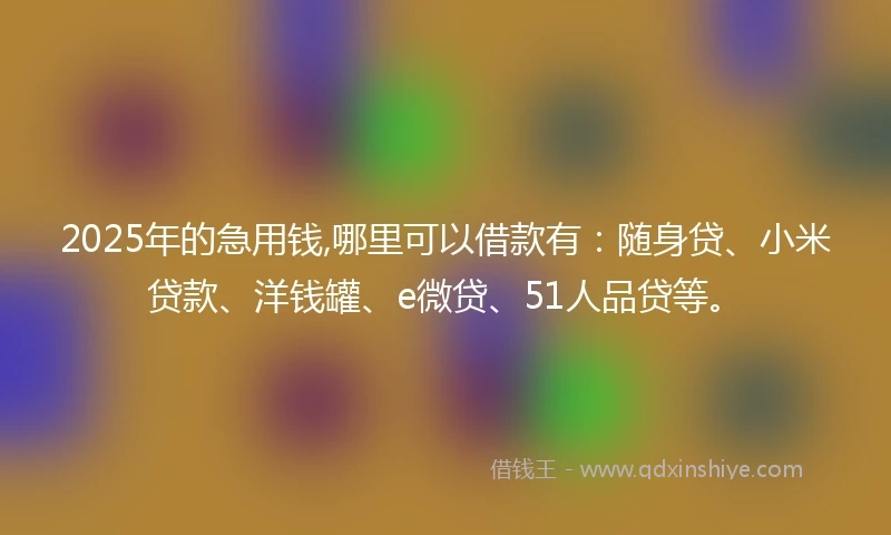 2025年的急用钱,哪里可以借款有：随身贷、小米贷款、洋钱罐、e微贷、51人品贷等。