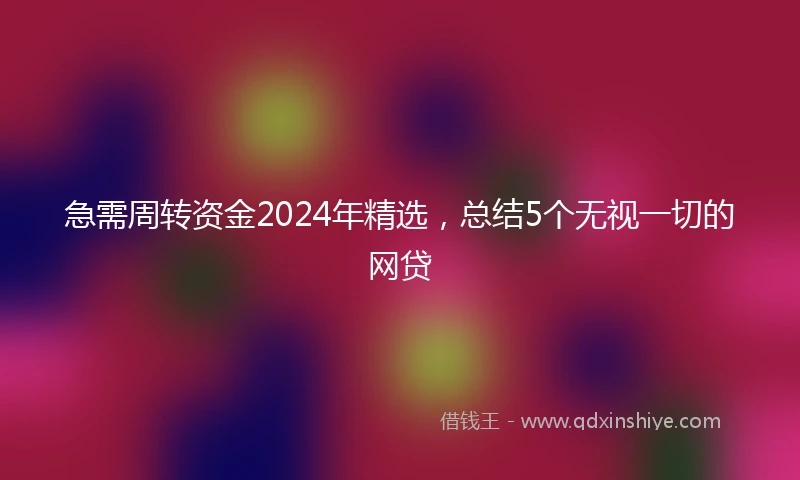 急需周转资金2024年精选，总结5个无视一切的网贷