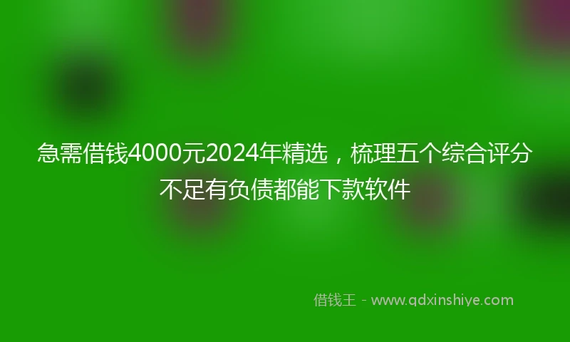 急需借钱4000元2024年精选，梳理五个综合评分不足有负债都能下款软件