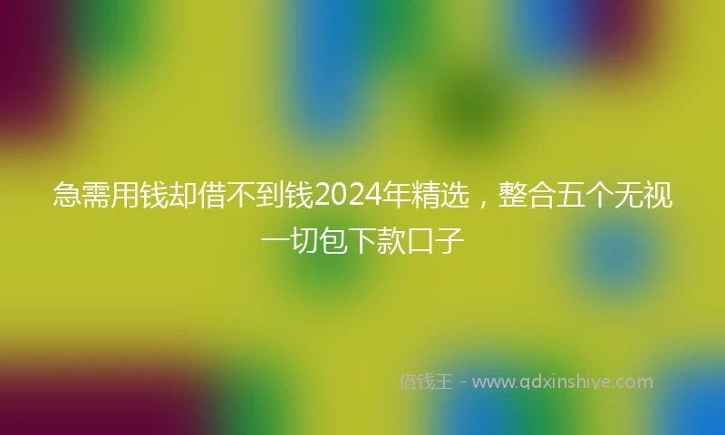 急需用钱却借不到钱2024年精选，整合五个无视一切包下款口子