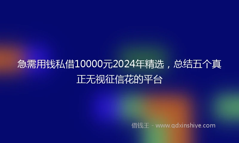 急需用钱私借10000元2024年精选，总结五个真正无视征信花的平台