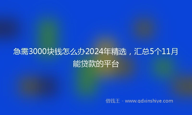 急需3000块钱怎么办2024年精选，汇总5个11月能贷款的平台