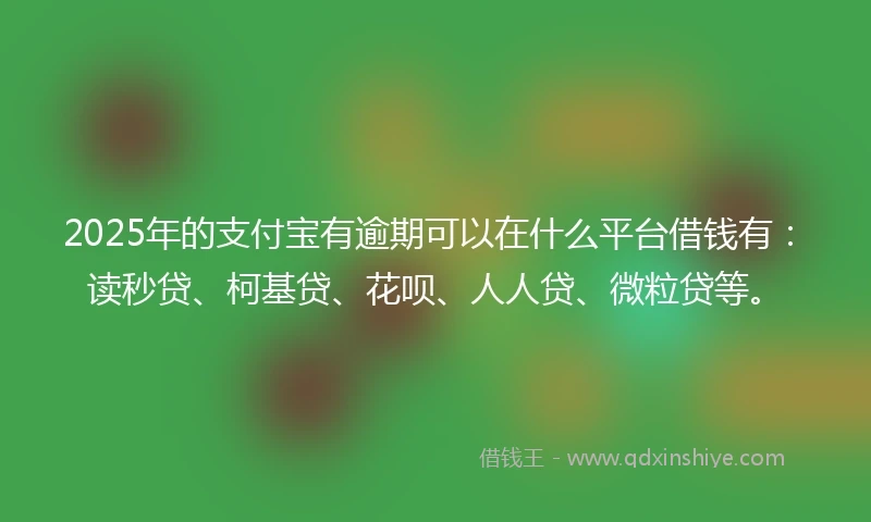 2025年的支付宝有逾期可以在什么平台借钱有：读秒贷、柯基贷、花呗、人人贷、微粒贷等。
