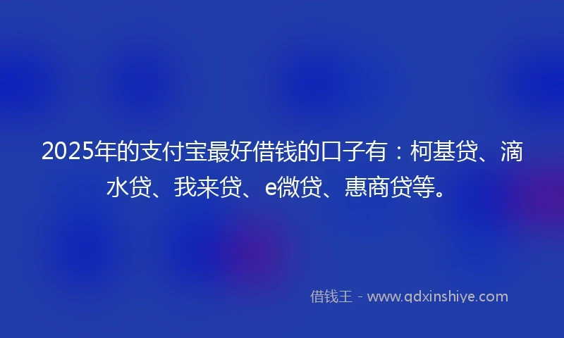 2025年的支付宝最好借钱的口子有：柯基贷、滴水贷、我来贷、e微贷、惠商贷等。