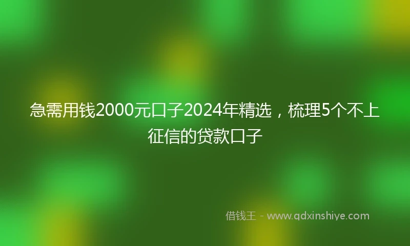 急需用钱2000元口子2024年精选，梳理5个不上征信的贷款口子