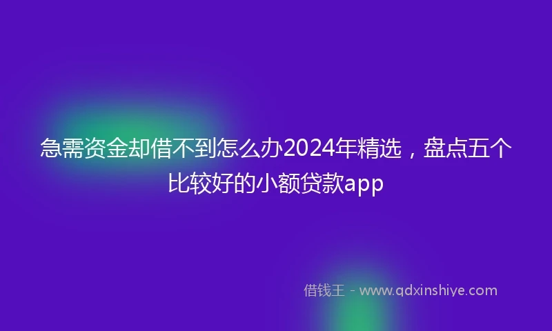 急需资金却借不到怎么办2024年精选，盘点五个比较好的小额贷款app