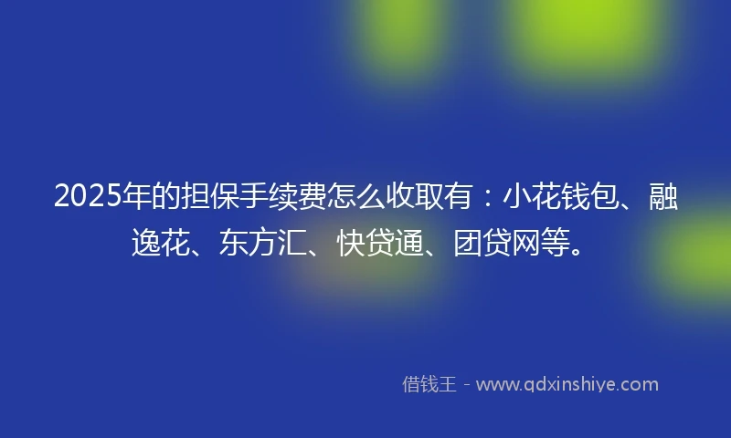 2025年的担保手续费怎么收取有：小花钱包、融逸花、东方汇、快贷通、团贷网等。