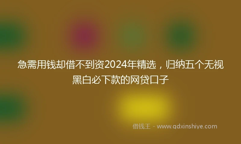 急需用钱却借不到资2024年精选，归纳五个无视黑白必下款的网贷口子