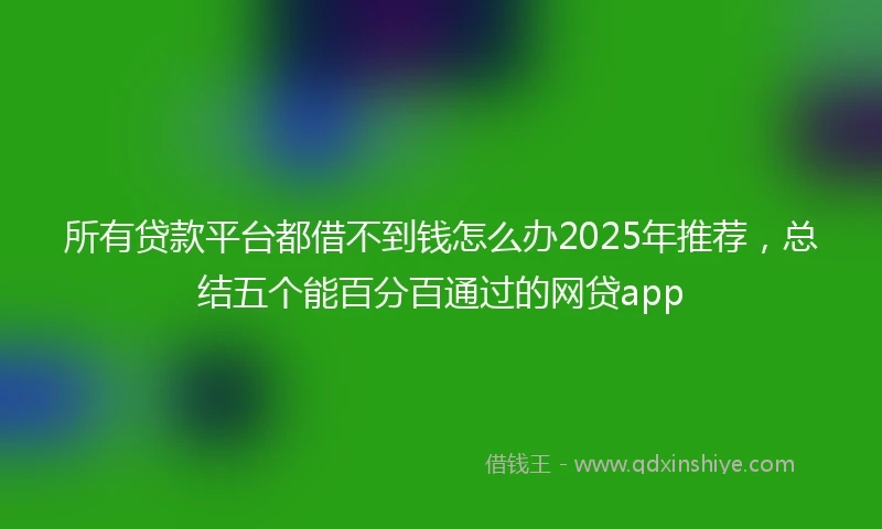 所有贷款平台都借不到钱怎么办2025年推荐，总结五个能百分百通过的网贷app