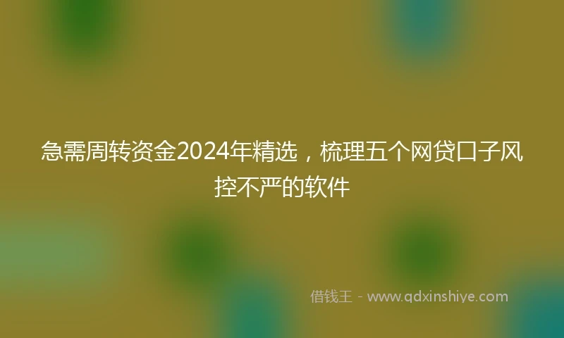 急需周转资金2024年精选，梳理五个网贷口子风控不严的软件