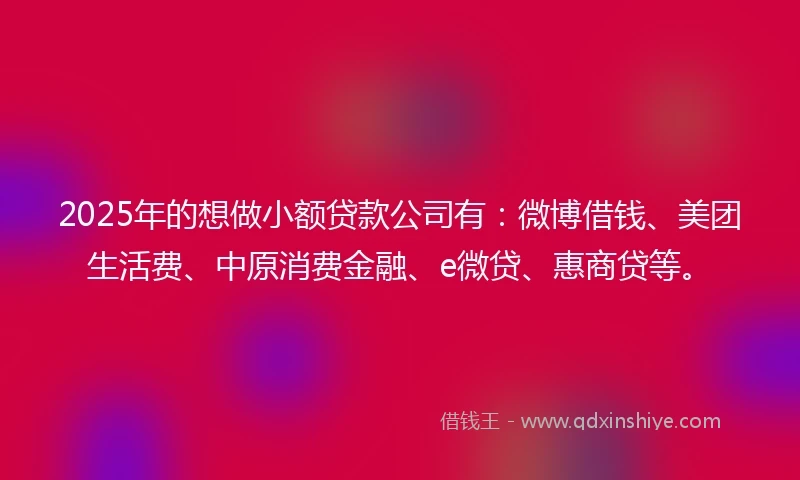 2025年的想做小额贷款公司有：微博借钱、美团生活费、中原消费金融、e微贷、惠商贷等。