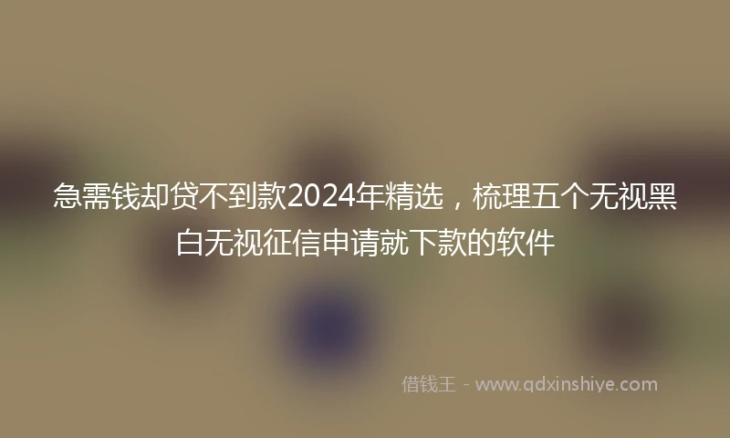 急需钱却贷不到款2024年精选，梳理五个无视黑白无视征信申请就下款的软件