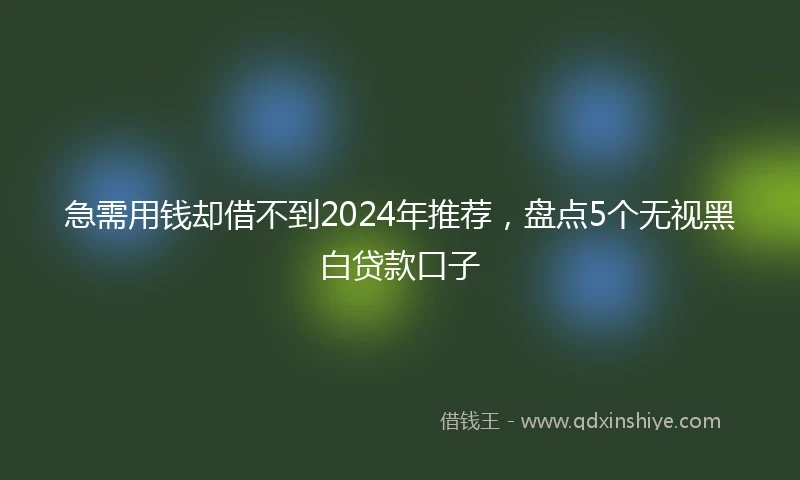 急需用钱却借不到2024年推荐，盘点5个无视黑白贷款口子