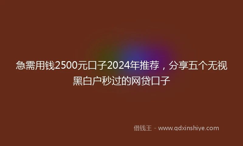 急需用钱2500元口子2024年推荐，分享五个无视黑白户秒过的网贷口子