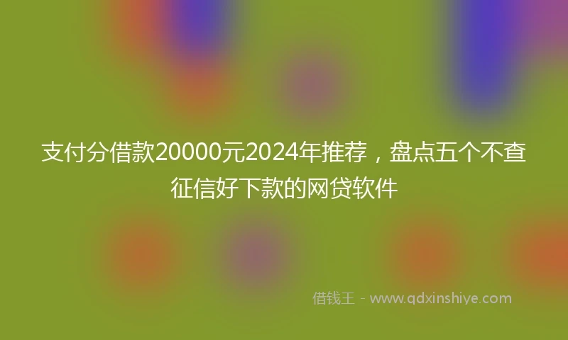 支付分借款20000元2024年推荐，盘点五个不查征信好下款的网贷软件