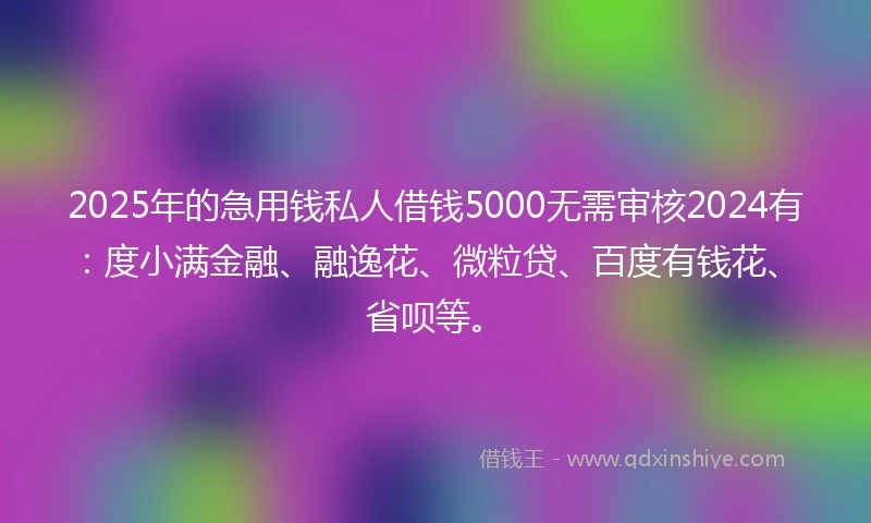 2025年的急用钱私人借钱5000无需审核2024有：度小满金融、融逸花、微粒贷、百度有钱花、省呗等。