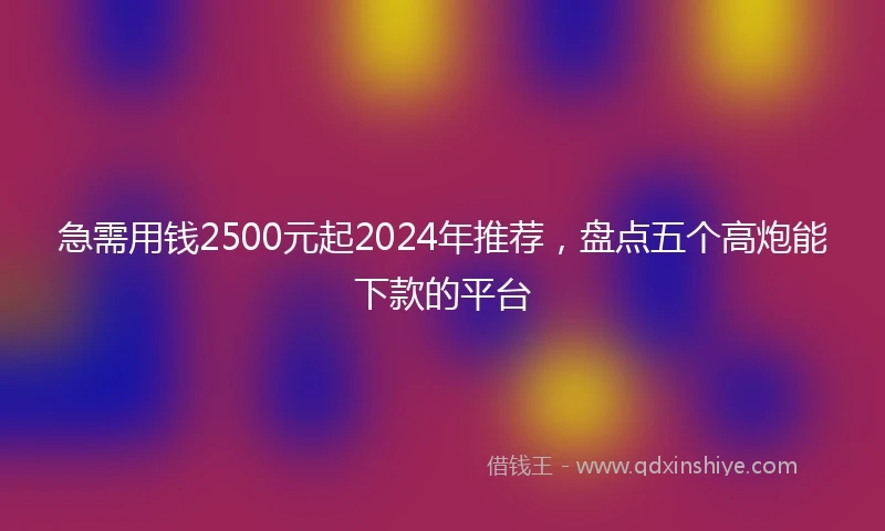 急需用钱2500元起2024年推荐，盘点五个高炮能下款的平台