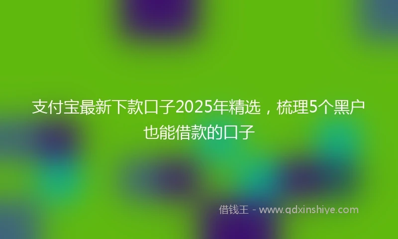 支付宝最新下款口子2025年精选，梳理5个黑户也能借款的口子
