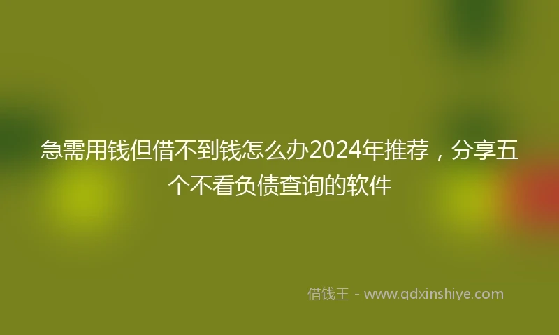急需用钱但借不到钱怎么办2024年推荐，分享五个不看负债查询的软件