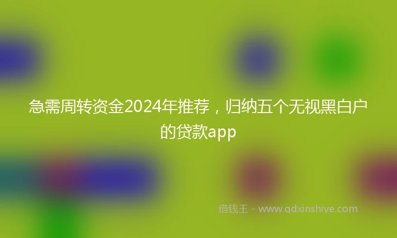 急需周转资金2024年推荐，归纳五个无视黑白户的贷款app