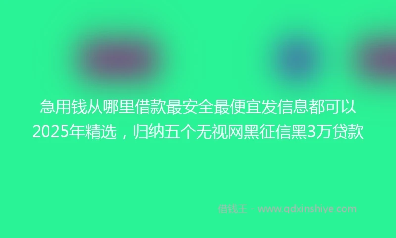 急用钱从哪里借款最安全最便宜发信息都可以2025年精选，归纳五个无视网黑征信黑3万贷款