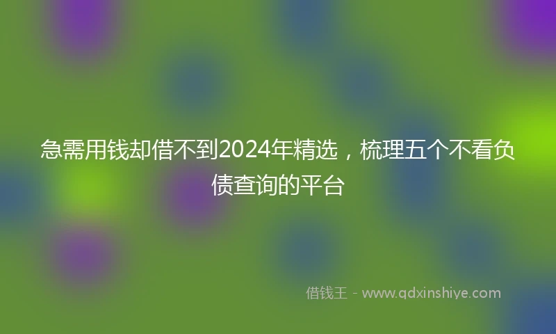急需用钱却借不到2024年精选，梳理五个不看负债查询的平台