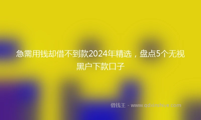 急需用钱却借不到款2024年精选，盘点5个无视黑户下款口子