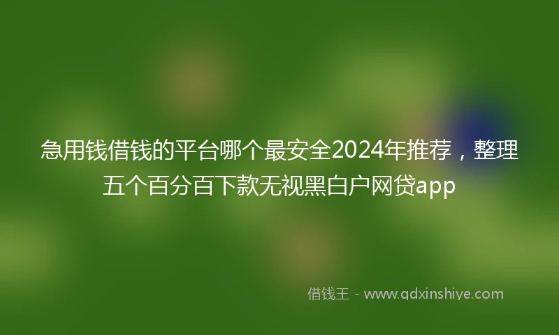 急用钱借钱的平台哪个最安全2024年推荐，整理五个百分百下款无视黑白户网贷app