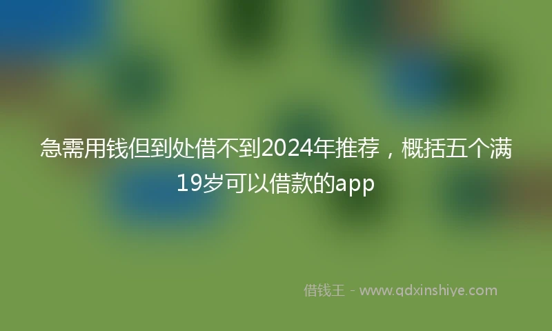 急需用钱但到处借不到2024年推荐，概括五个满19岁可以借款的app