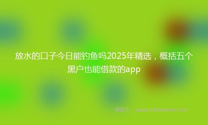 放水的口子今日能钓鱼吗2025年精选，概括五个黑户也能借款的app