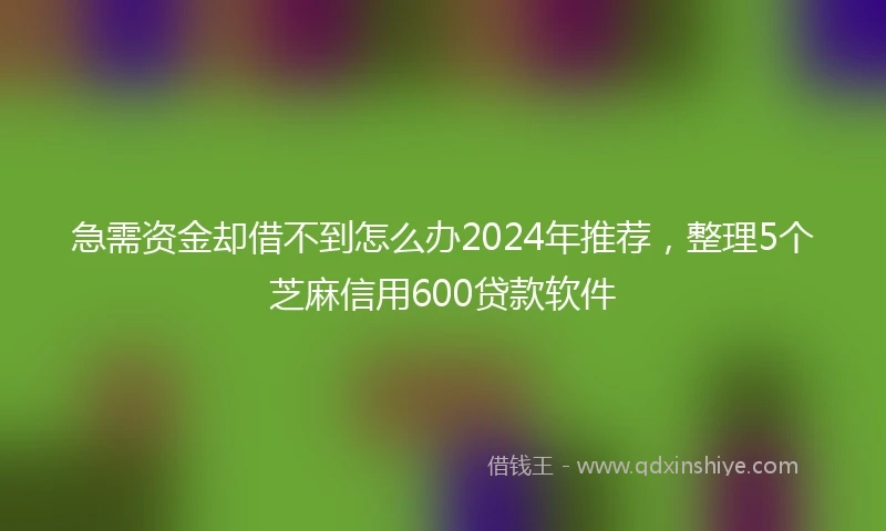 急需资金却借不到怎么办2024年推荐，整理5个芝麻信用600贷款软件