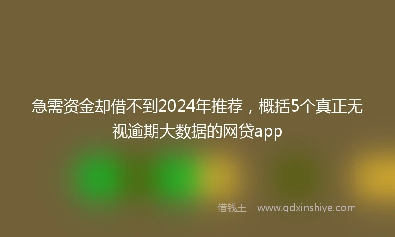 急需资金却借不到2024年推荐，概括5个真正无视逾期大数据的网贷app